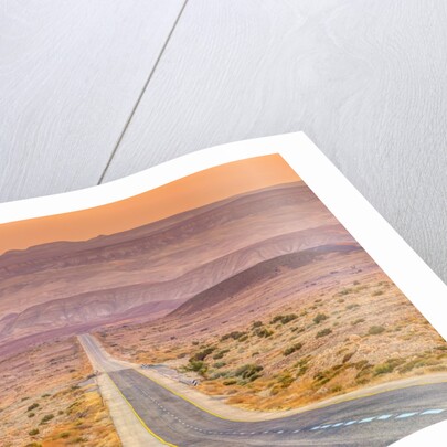 Highway through desert by Assaf Frank